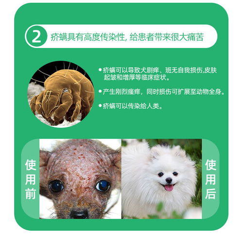 守護愛寵健康 科學(xué)選擇與使用寵物一體式驅(qū)蟲藥