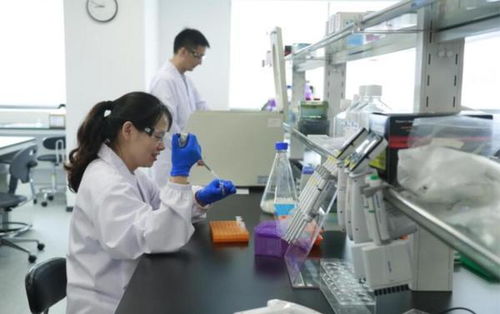 口罩處長 上海產能爆發背后的生物化工智慧