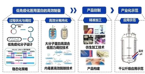 西北大學獲批3項國家重點研發計劃，聚焦生物化工產品技術研發新突破
