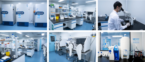 微益生菌的應用價值與生物化工產品技術研發的融合創新