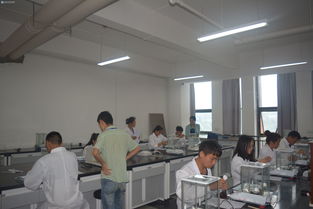 輕工化工系工業分析與檢驗技能大賽決賽圓滿落幕，展現生物化工產品技術研發新風采